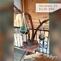 Garabato decorativo